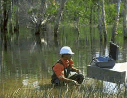 Wetlands, Watersheds and Hydroecology Services 